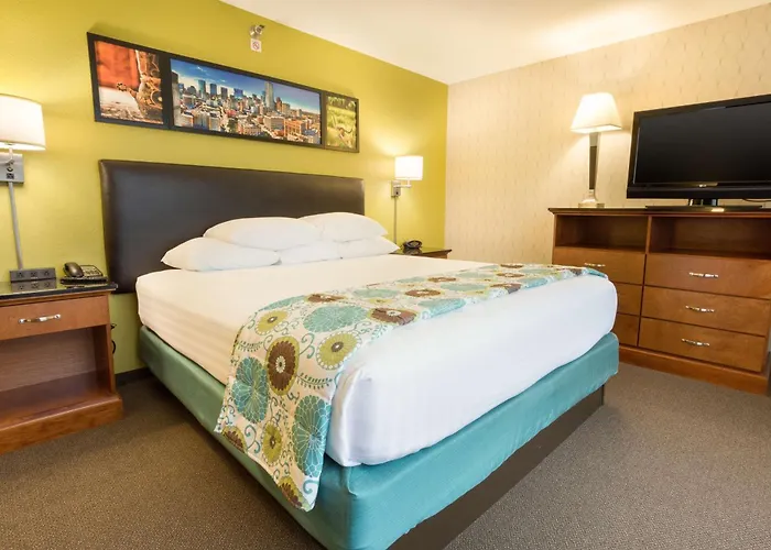 Houston Dog Friendly Hotels