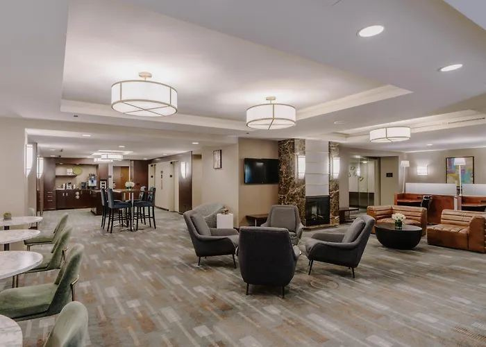 Chicago Dog Friendly Hotels