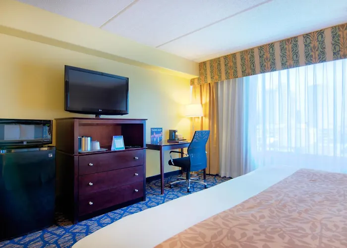 Tampa Dog Friendly Lodging and Hotels