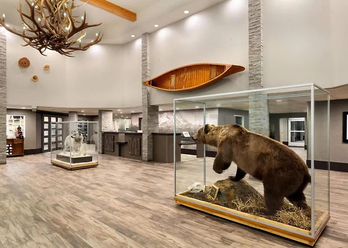 Fairbanks Dog Friendly Hotels
