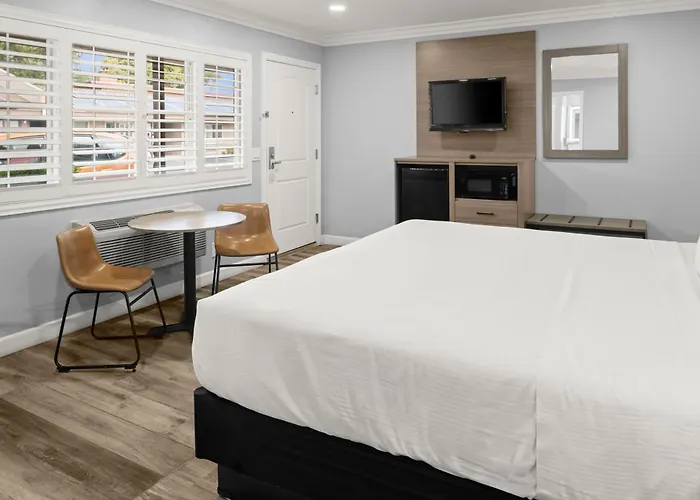 Monterey Dog Friendly Lodging and Hotels