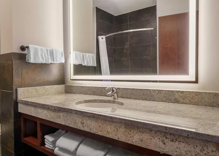 New Orleans Dog Friendly Hotels