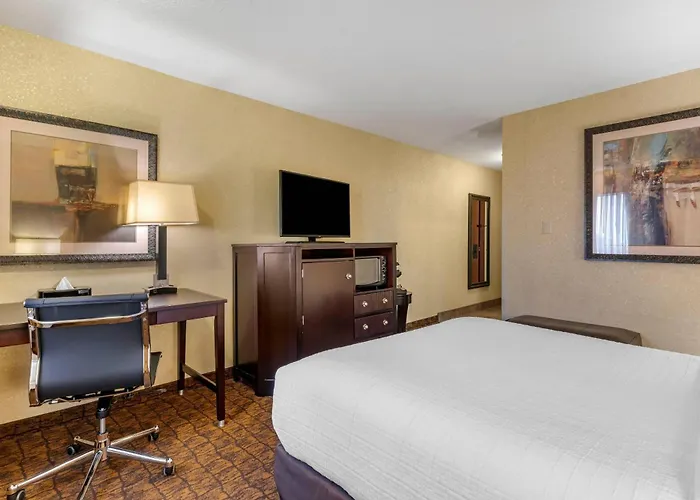 Astoria Dog Friendly Hotels