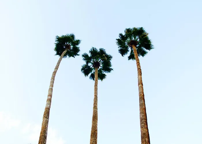 Palm Springs Motels