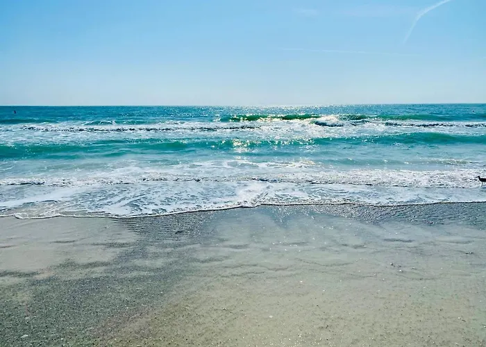 Bradenton Beach Dog Friendly Lodging and Hotels