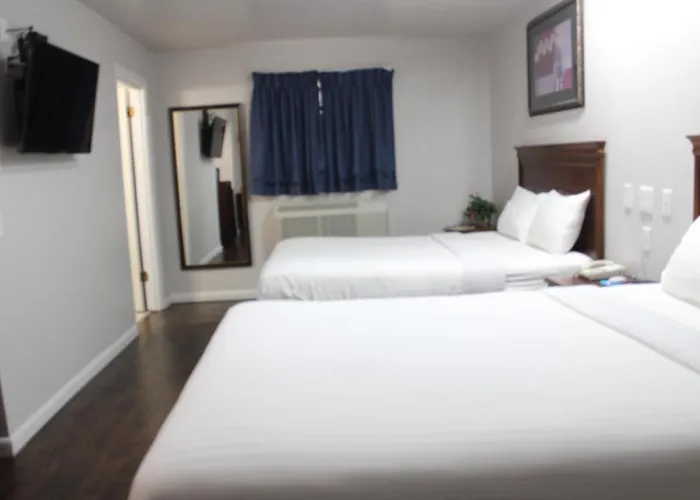 Las Vegas Dog Friendly Hotels