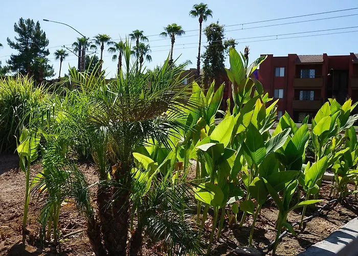Cave Creek Motels