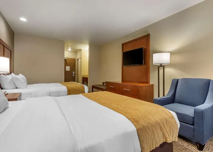 Flagstaff Dog Friendly Hotels