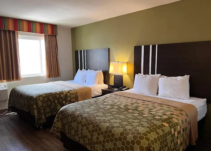 Encinitas Dog Friendly Hotels