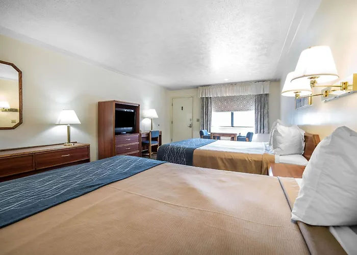 Lander Dog Friendly Hotels