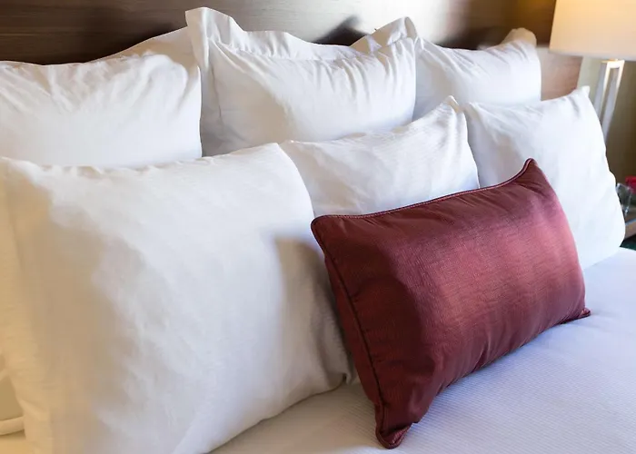 SeaTac Dog Friendly Hotels