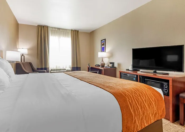 Denton Dog Friendly Hotels