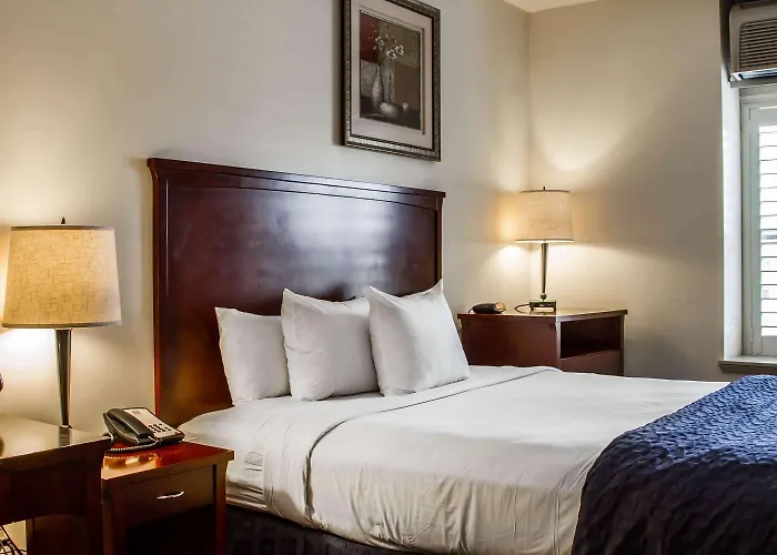 Oakland Dog Friendly Hotels