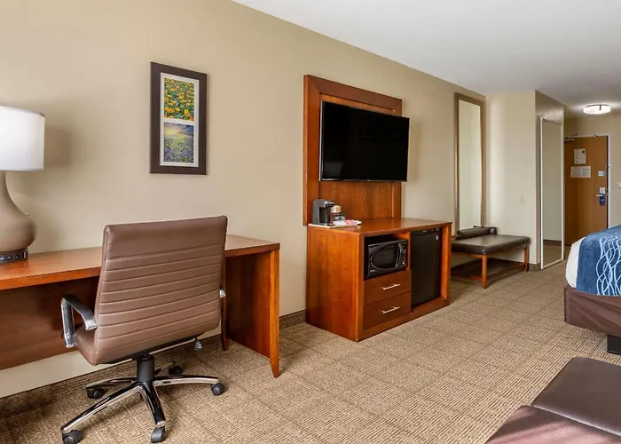 Lordsburg Dog Friendly Hotels
