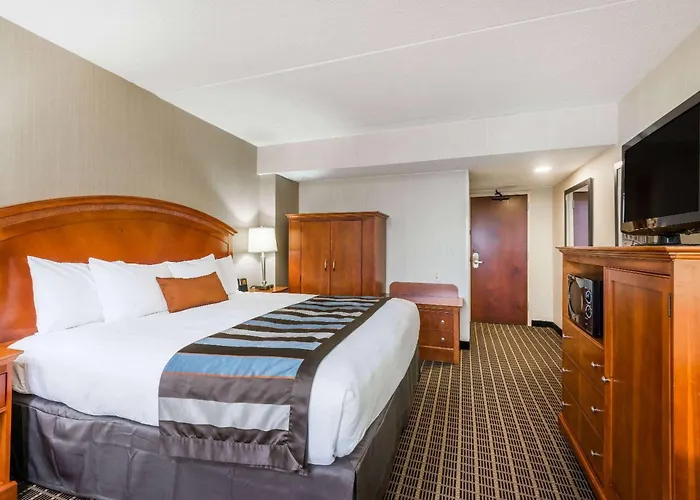 Springfield Dog Friendly Lodging and Hotels