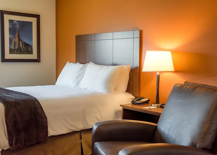 Medora Dog Friendly Hotels