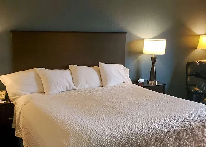 Clear Lake Dog Friendly Lodging and Hotels