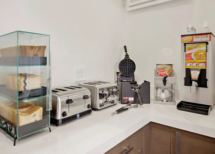 Miami Beach Dog Friendly Hotels