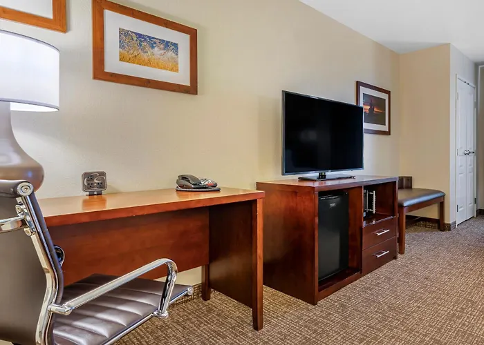 Fernley Dog Friendly Lodging and Hotels