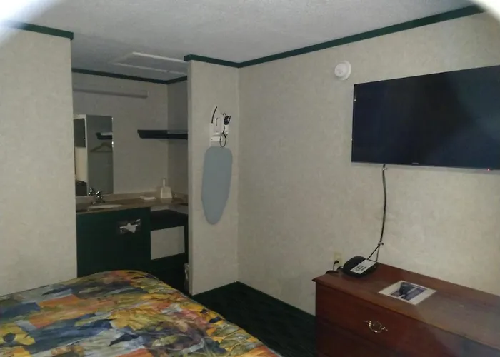 Pinckney Motels