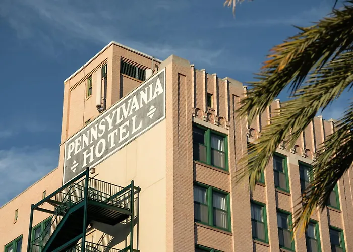 St. Petersburg Dog Friendly Hotels