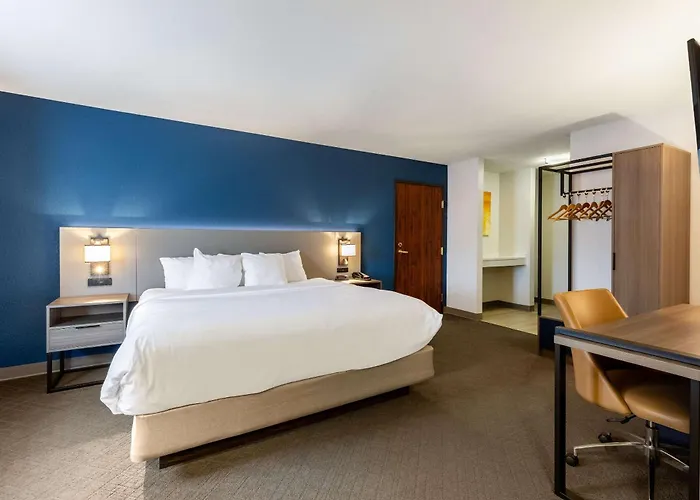 Fremont Dog Friendly Hotels