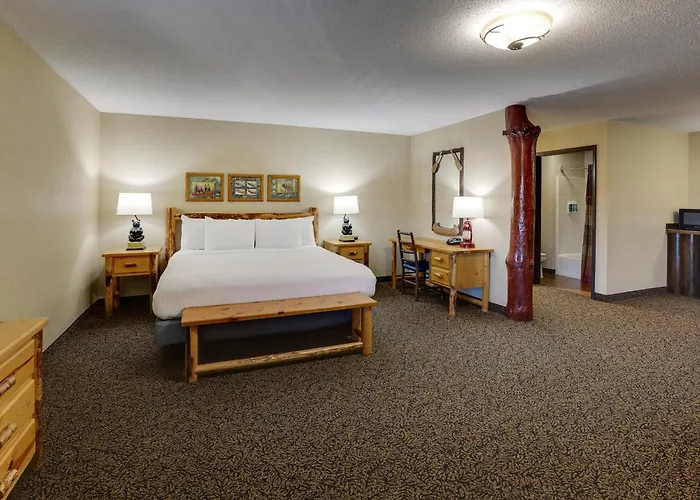 Moline Dog Friendly Hotels