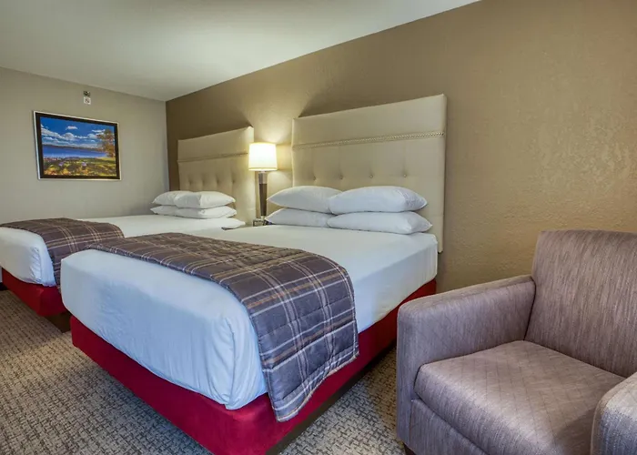 Fairview Heights Dog Friendly Hotels