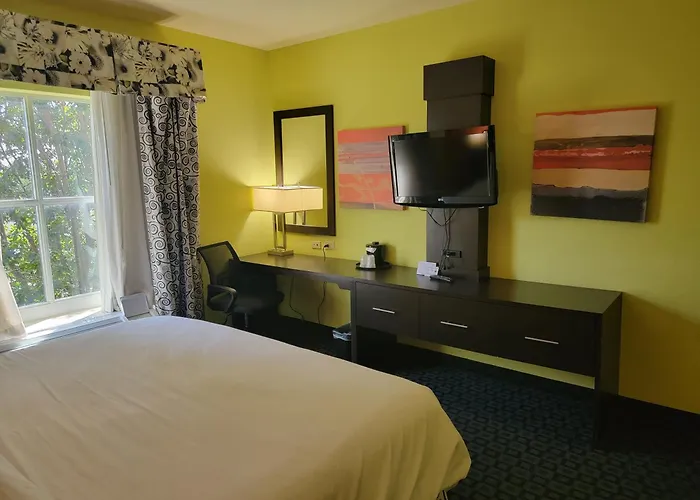 Best 5 Spa Hotels in Garland for a Relaxing Getaway