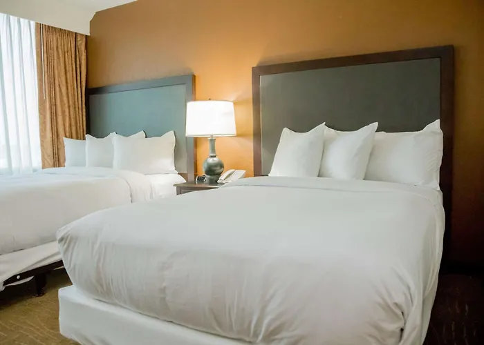 Lexington Boutique Hotels