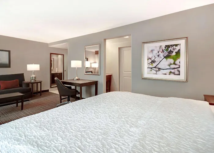 Solomons Dog Friendly Hotels