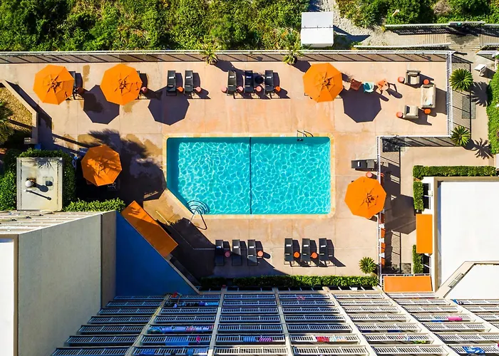 Folly Beach Dog Friendly Hotels