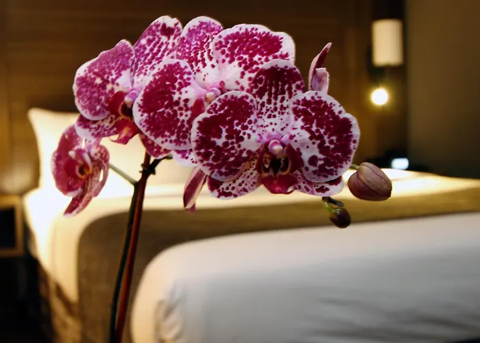 Oakland Hotels With Jacuzzi in Room