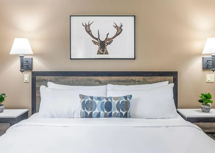 Mount Shasta Motels