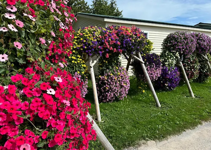 Brevort Motels