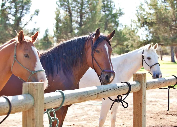 Best 4 Spa Hotels in Redmond for a Relaxing Getaway