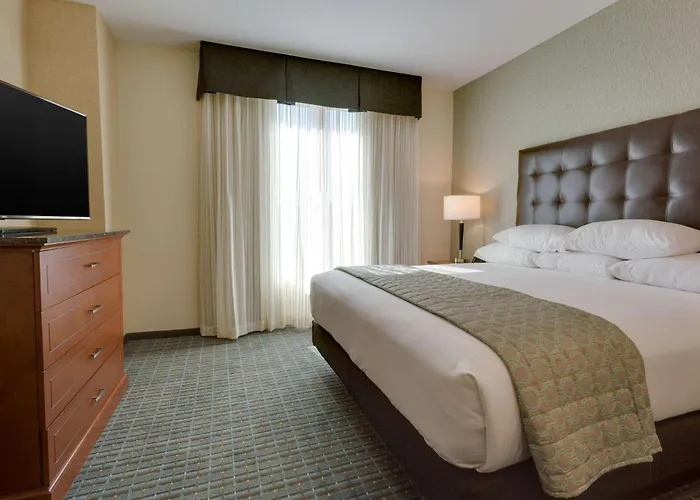 Gainesville Dog Friendly Hotels