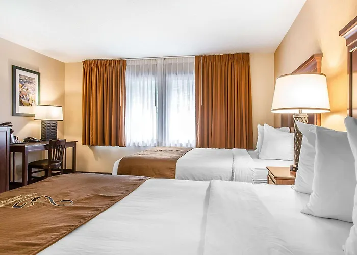 Lee Dog Friendly Lodging and Hotels
