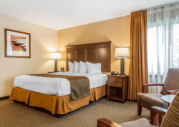 Lee Dog Friendly Hotels