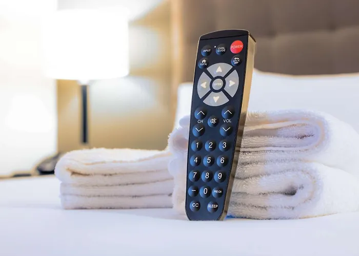 Austin Dog Friendly Hotels