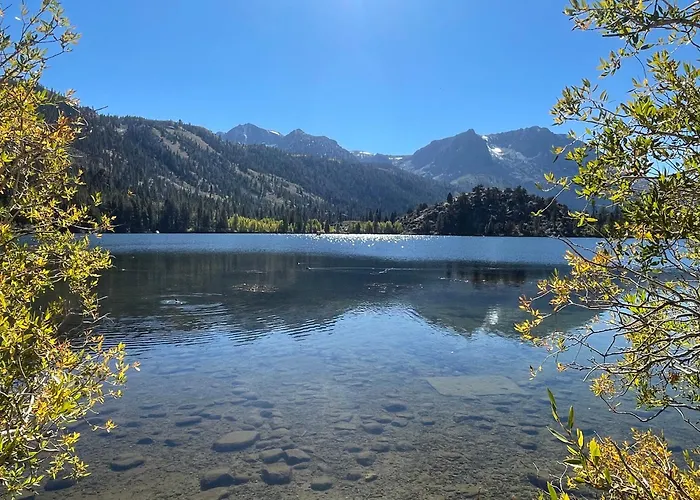 June Lake Dog Friendly Hotels