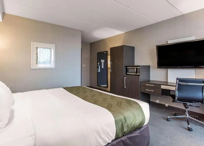 West Springfield Dog Friendly Lodging and Hotels