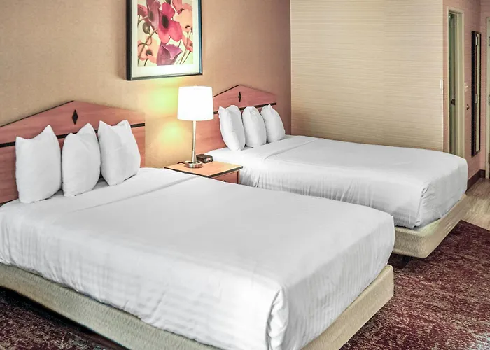 Murray Dog Friendly Lodging and Hotels