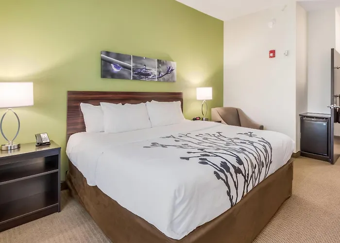 Union City Dog Friendly Hotels