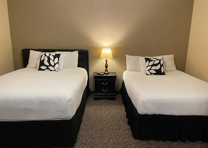 South Williamsport Dog Friendly Hotels