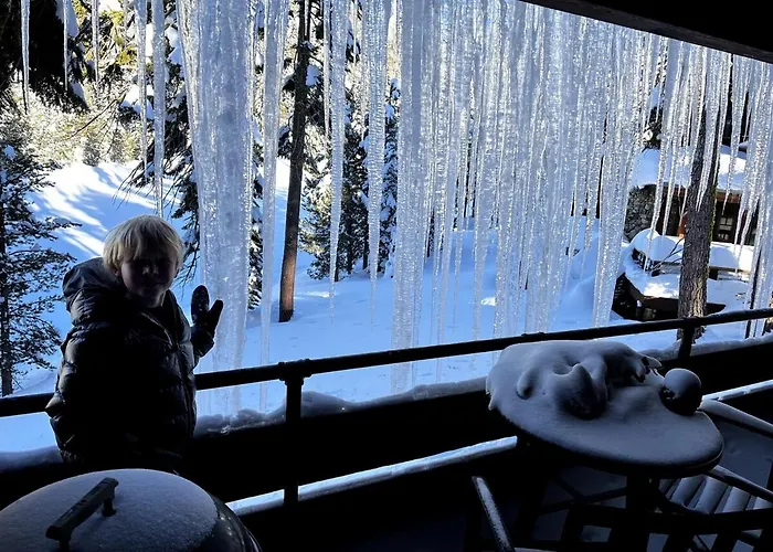 Bear Valley (Alpine County) Dog Friendly Lodging and Hotels