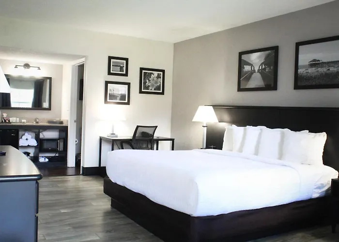 Cocoa Beach Dog Friendly Hotels