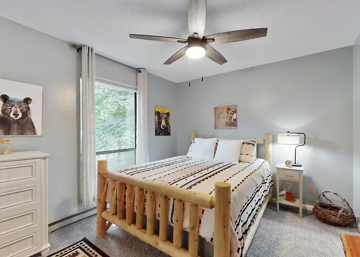 Sugar Mountain Dog Friendly Lodging and Hotels