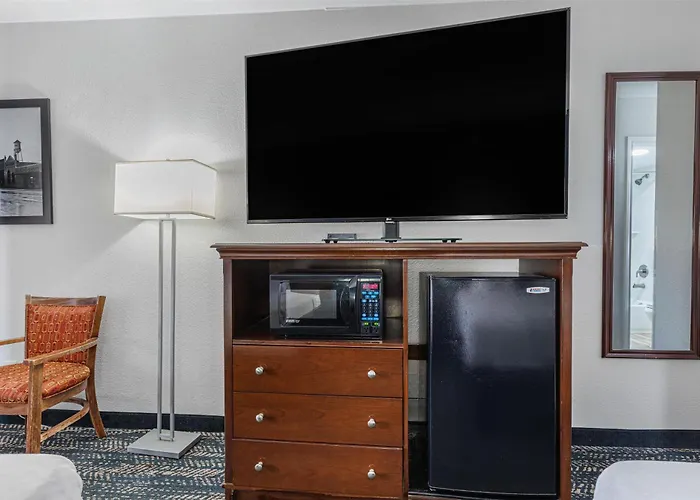 Canton Dog Friendly Hotels