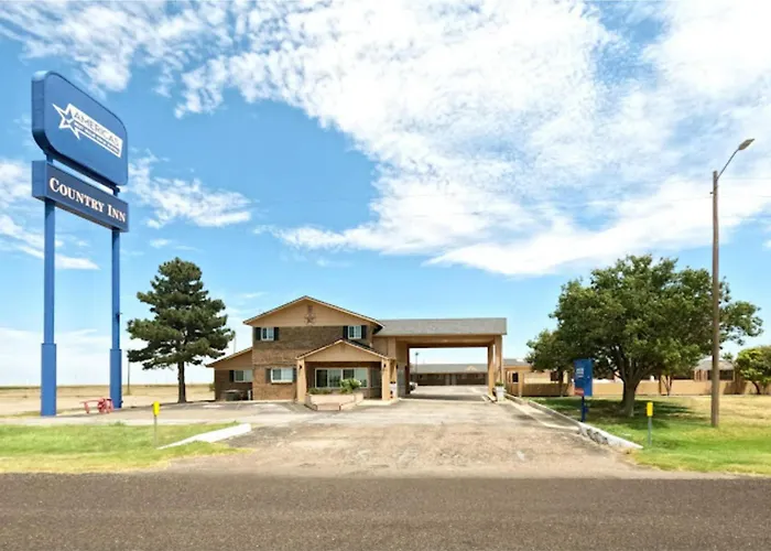 Vega Dog Friendly Lodging and Hotels